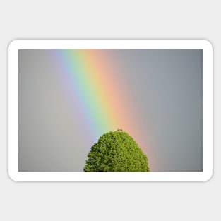 Rainbow / Swiss Artwork Photography Sticker